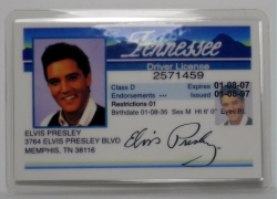 Fahrausweis Drivers-License