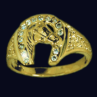 ELVIS-Horseshoe-Ring, vergoldet CHF 95.00