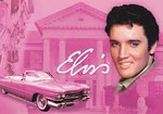 Make-Up Etui Elvis, Pink Gross